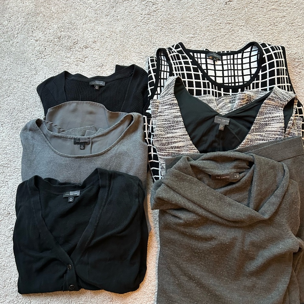 Box #3 - The Limited Sweaters and Dresses